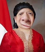 Pp Meme Megawati