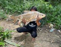 Tembakan Ikan Sungai